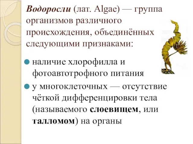 Водоросли (лат. Algae) — группа организмов различного происхождения, объединённых следующими признаками: