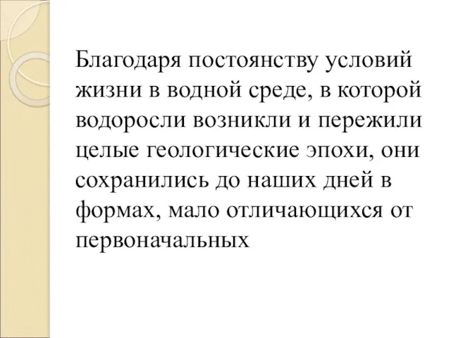 Благодаря постоянству условий жизни в водной среде, в которой водоросли возникли