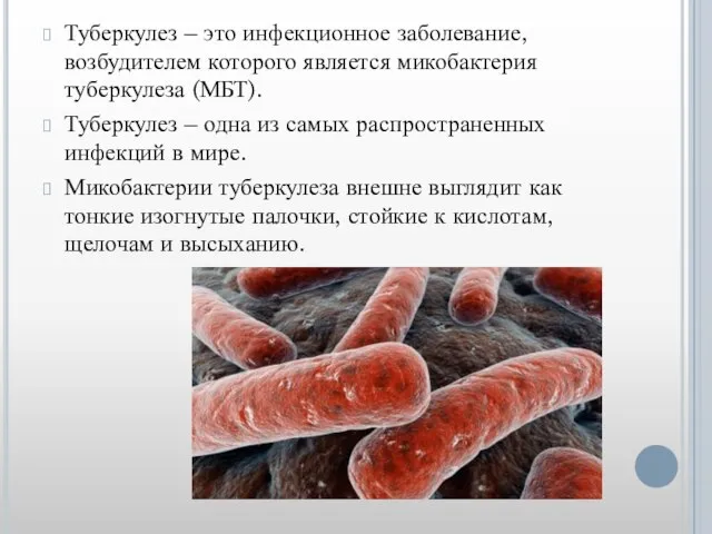 Туберкулез – это инфекционное заболевание, возбудителем которого является микобактерия туберкулеза (МБТ).