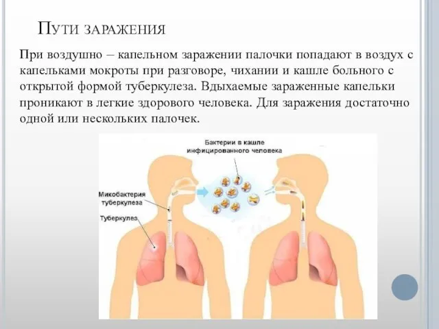 Пути заражения При воздушно – капельном заражении палочки попадают в воздух