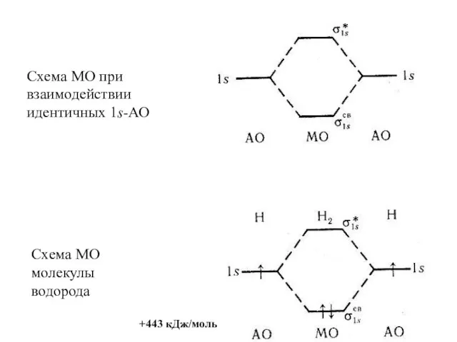 Схема МО при взаимодействии идентичных 1s-АО Схема МО молекулы водорода +443 кДж/моль