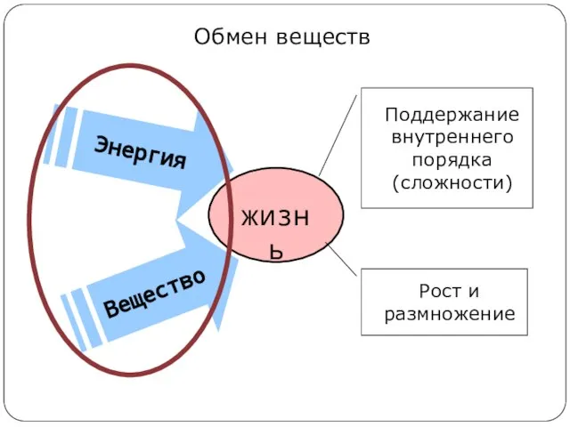 жизнь Энергия Вещество Поддержание внутреннего порядка (сложности) Рост и размножение Обмен веществ