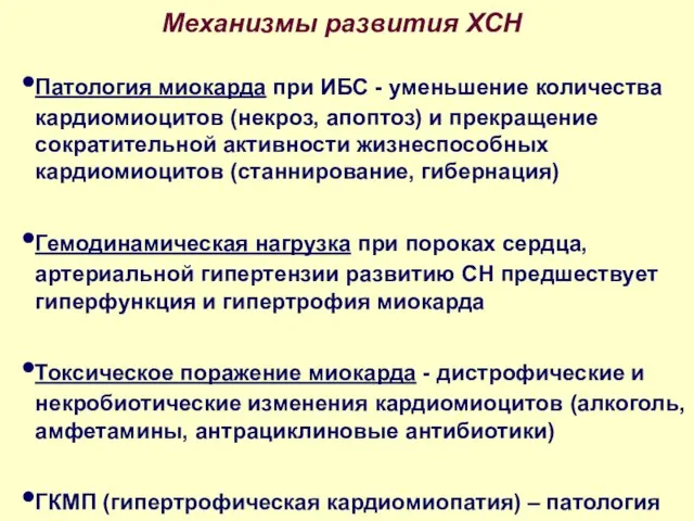 Механизмы развития ХСН Патология миокарда при ИБС - уменьшение количества кардиомиоцитов