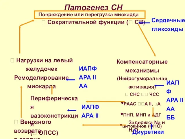 Патогенез СН  Нагрузки на левый желудочек Ремоделирование миокарда  Сократительной