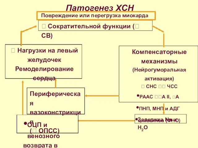 Патогенез ХСН  Нагрузки на левый желудочек Ремоделирование сердца  Сократительной