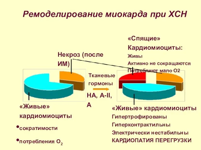 Ремоделирование миокарда при ХСН Некроз (после ИМ) «Живые» кардиомиоциты сократимости потребления