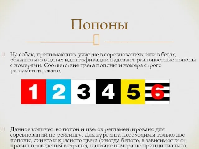 На собак, принимающих участие в соревнованиях или в бегах, обязательно в