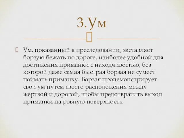 Ум, показанный в преследовании, заставляет борзую бежать по дороге, наиболее удобной