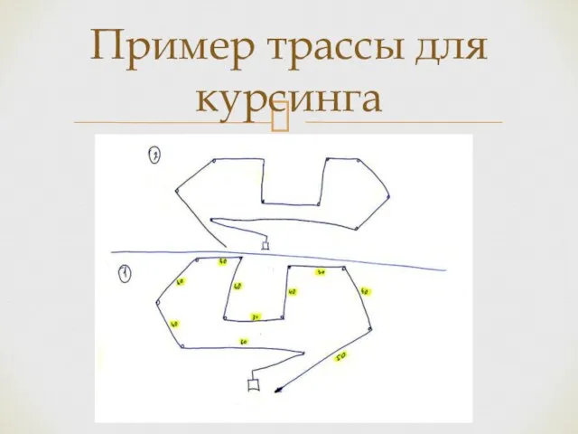 Пример трассы для курсинга