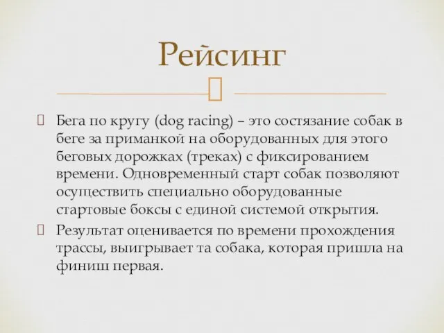 Бега по кругу (dog racing) – это состязание собак в беге