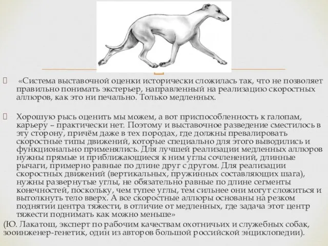 «Система выставочной оценки исторически сложилась так, что не позволяет правильно понимать