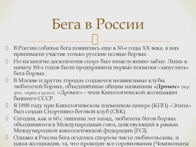 В России собачьи бега появились еще в 30-е годы ХХ века,