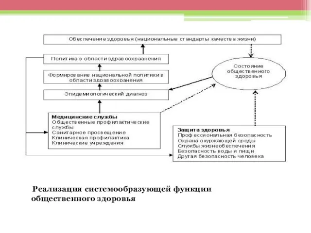 Реализация системообразующей функции общественного здоровья