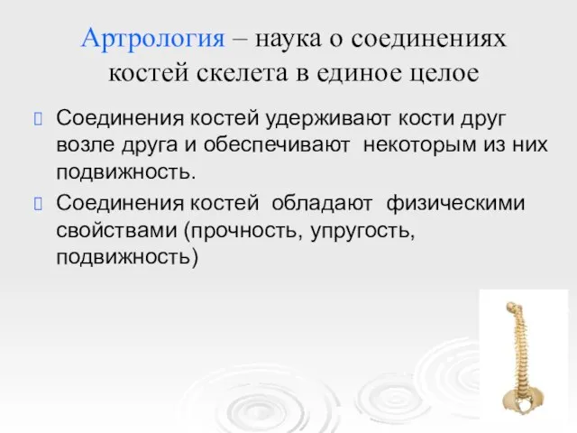 Артрология – наука о соединениях костей скелета в единое целое Соединения