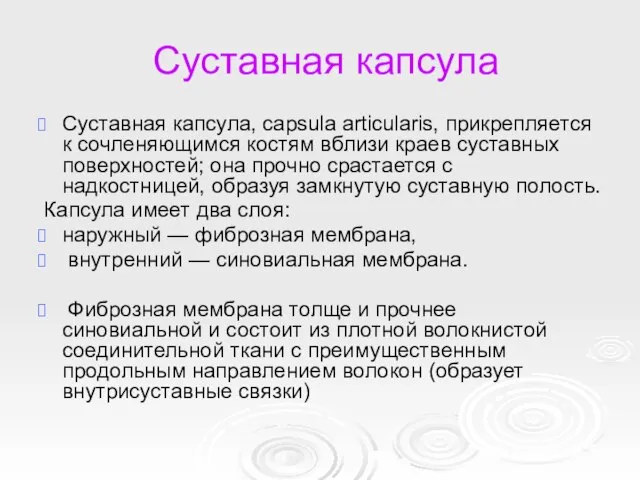 Суставная капсула Суставная капсула, capsula articularis, прикрепляется к сочленяющимся костям вблизи