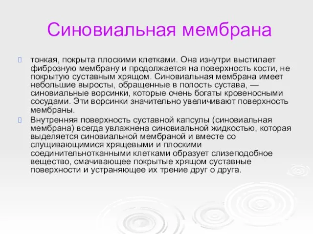 Синовиальная мембрана тонкая, покрыта плоскими клетками. Она изнутри выстилает фиброзную мембрану