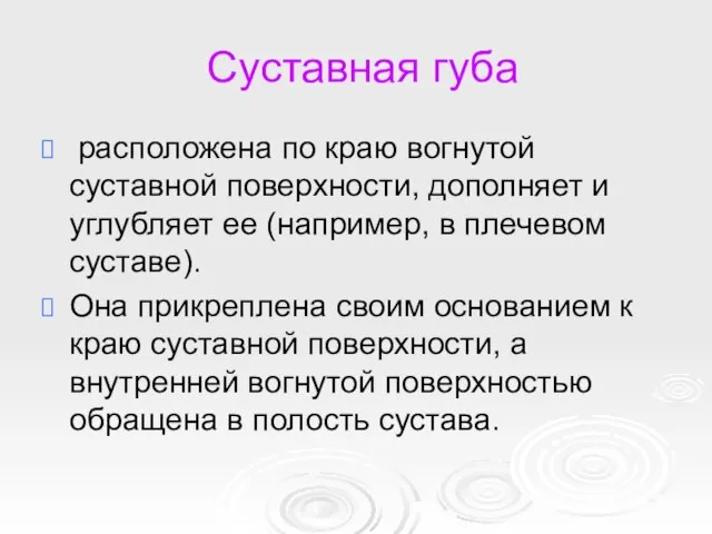 Суставная губа расположена по краю вогнутой суставной поверхности, дополняет и углубляет