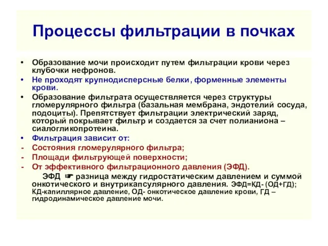 Процессы фильтрации в почках Образование мочи происходит путем фильтрации крови через