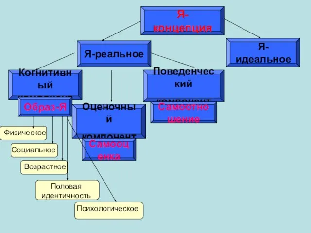 Я-концепция Я-реальное Я-идеальное Когнитивный компонент Оценочный компонент Поведенческий компонент Образ-Я Самооценка