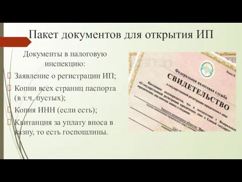 Пакет документов для открытия ИП Документы в налоговую инспекцию: Заявление о