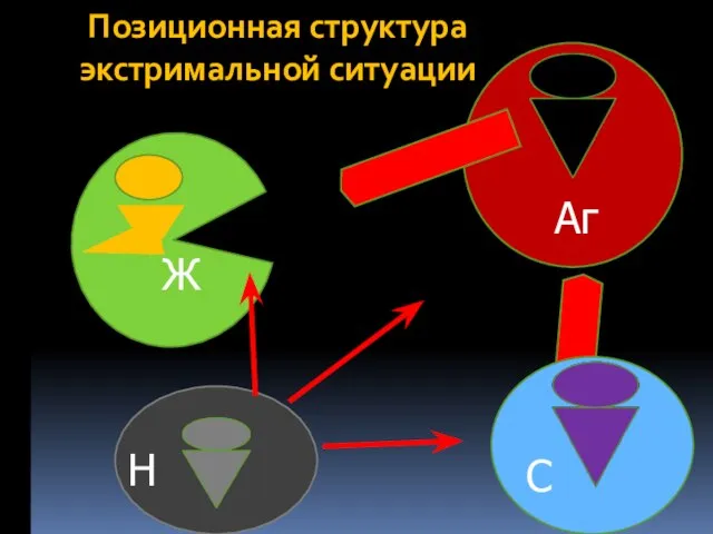 Позиционная структура экстримальной ситуации Аг Ж С Н