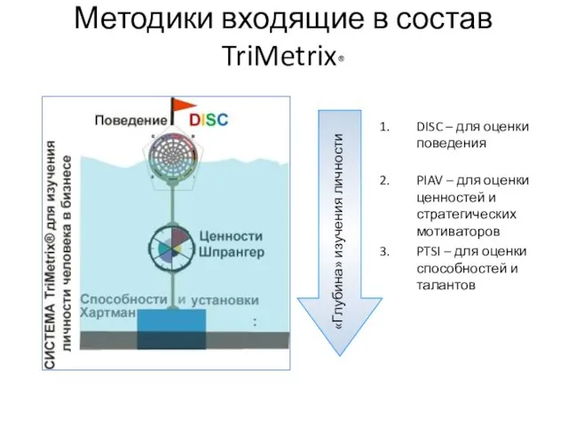 Методики входящие в состав TriMetrix® DISC – для оценки поведения PIAV