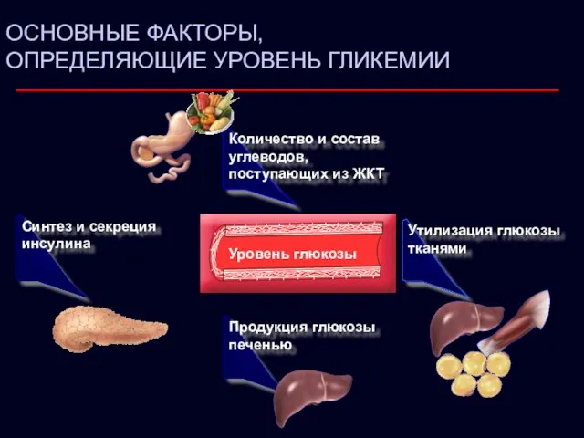 ОСНОВНЫЕ ФАКТОРЫ, ОПРЕДЕЛЯЮЩИЕ УРОВЕНЬ ГЛИКЕМИИ Утилизация глюкозы тканями Продукция глюкозы печенью