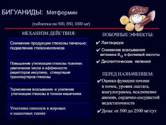 Торможение всасывания и усиление утилизации глюкозы в тонком кишечнике Угнетение липолиза