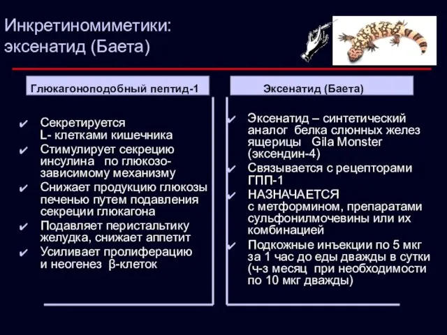 Инкретиномиметики: эксенатид (Баета) Секретируется L- клетками кишечника Стимулирует секрецию инсулина по