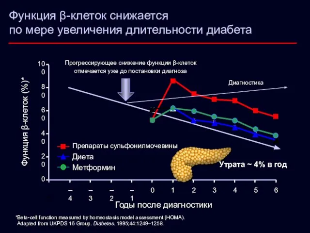 Функция β-клеток снижается по мере увеличения длительности диабета 0 20 40