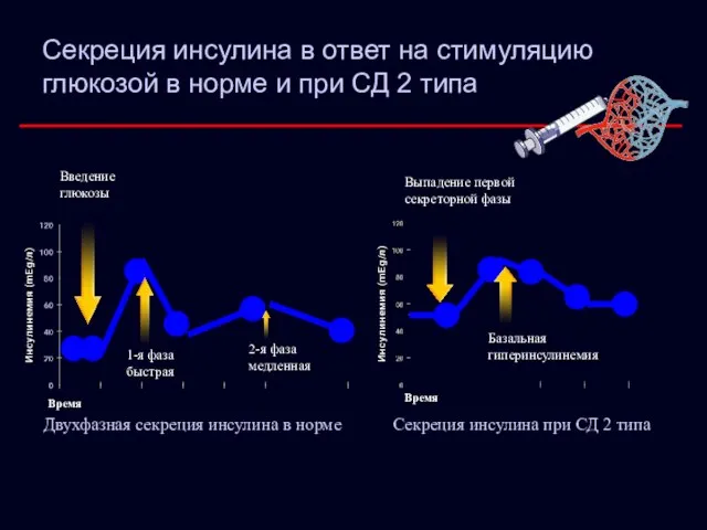 Секреция инсулина в ответ на стимуляцию глюкозой в норме и при