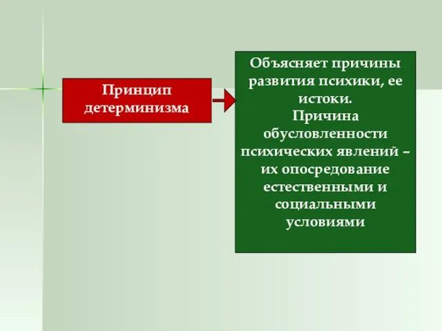 Объясняет причины развития психики, ее истоки. Причина обусловленности психических явлений –