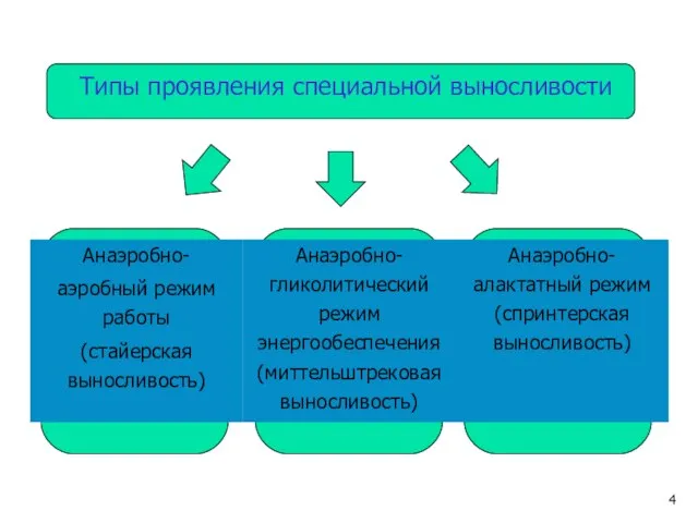 Типы проявления специальной выносливости