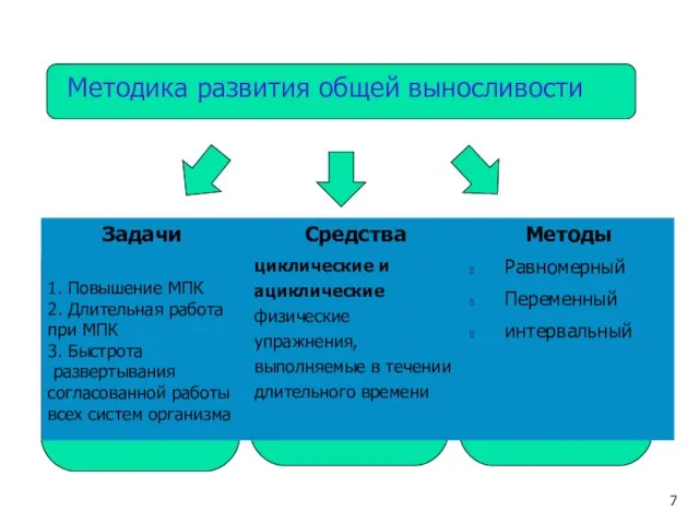 Методика развития общей выносливости