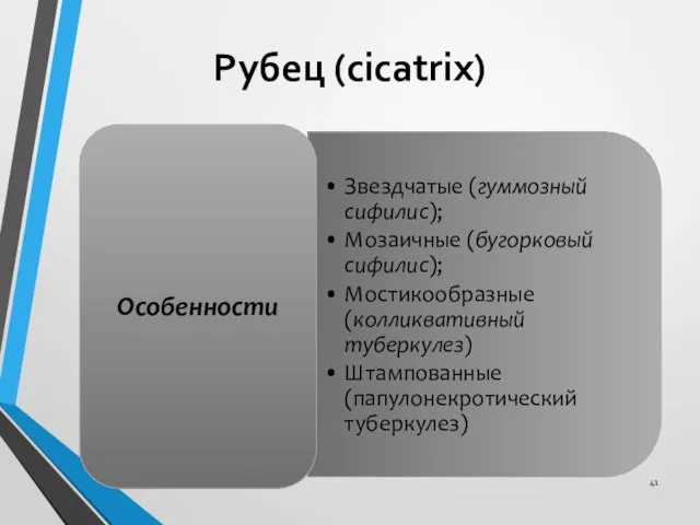 Рубец (cicatrix)