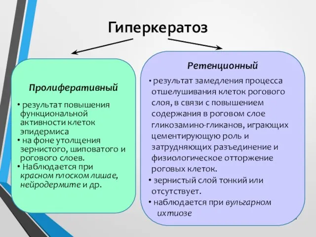 Гиперкератоз Пролиферативный результат повышения функциональной активности клеток эпидермиса на фоне утолщения