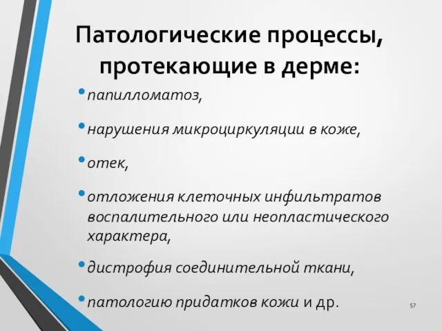 папилломатоз, нарушения микроциркуляции в коже, отек, отложения клеточных инфильтратов воспалительного или