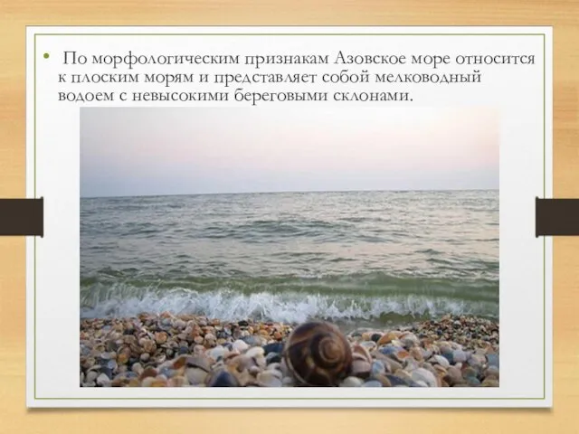 По морфологическим признакам Азовское море относится к плоским морям и представляет
