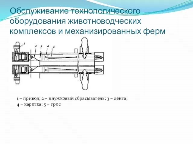 Обслуживание технологического оборудования животноводческих комплексов и механизированных ферм 1 – привод;