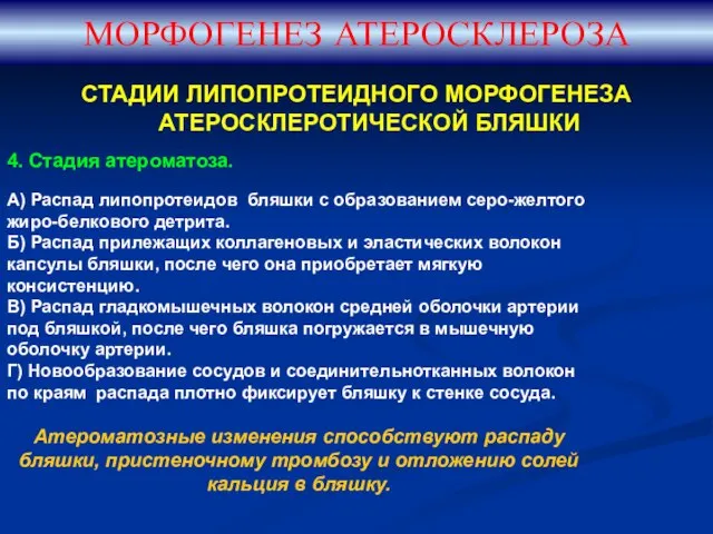 СТАДИИ ЛИПОПРОТЕИДНОГО МОРФОГЕНЕЗА АТЕРОСКЛЕРОТИЧЕСКОЙ БЛЯШКИ МОРФОГЕНЕЗ АТЕРОСКЛЕРОЗА 4. Стадия атероматоза. А)