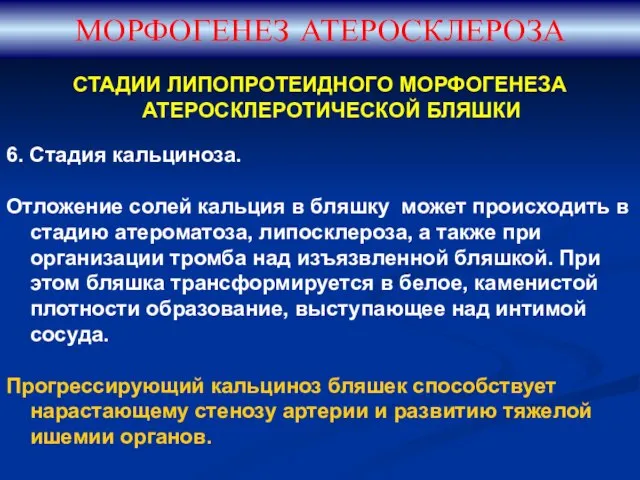 СТАДИИ ЛИПОПРОТЕИДНОГО МОРФОГЕНЕЗА АТЕРОСКЛЕРОТИЧЕСКОЙ БЛЯШКИ 6. Стадия кальциноза. Отложение солей кальция