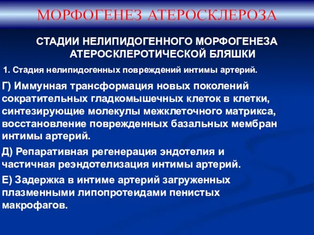 СТАДИИ НЕЛИПИДОГЕННОГО МОРФОГЕНЕЗА АТЕРОСКЛЕРОТИЧЕСКОЙ БЛЯШКИ 1. Стадия нелипидогенных повреждений интимы артерий.