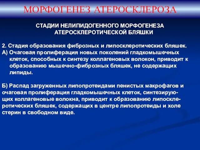 СТАДИИ НЕЛИПИДОГЕННОГО МОРФОГЕНЕЗА АТЕРОСКЛЕРОТИЧЕСКОЙ БЛЯШКИ 2. Стадия образования фиброзных и липосклеротических