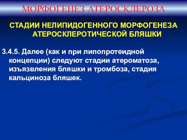 СТАДИИ НЕЛИПИДОГЕННОГО МОРФОГЕНЕЗА АТЕРОСКЛЕРОТИЧЕСКОЙ БЛЯШКИ 3.4.5. Далее (как и при липопротеидной