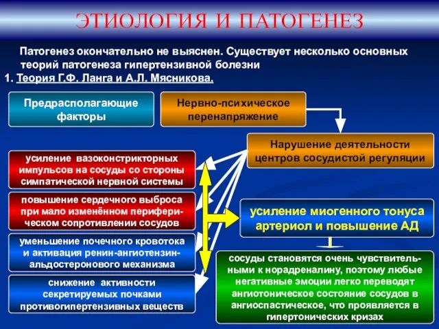 Патогенез окончательно не выяснен. Существует несколько основных теорий патогенеза гипертензивной болезни