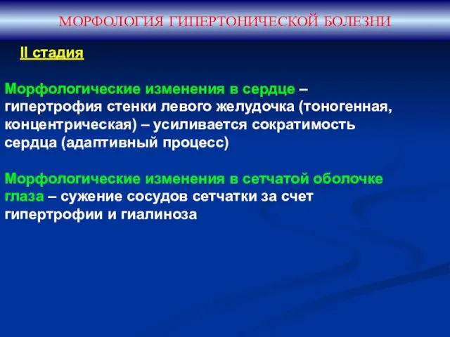 МОРФОЛОГИЯ ГИПЕРТОНИЧЕСКОЙ БОЛЕЗНИ II стадия Морфологические изменения в сердце – гипертрофия