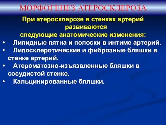 При атеросклерозе в стенках артерий развиваются следующие анатомические изменения: Липидные пятна