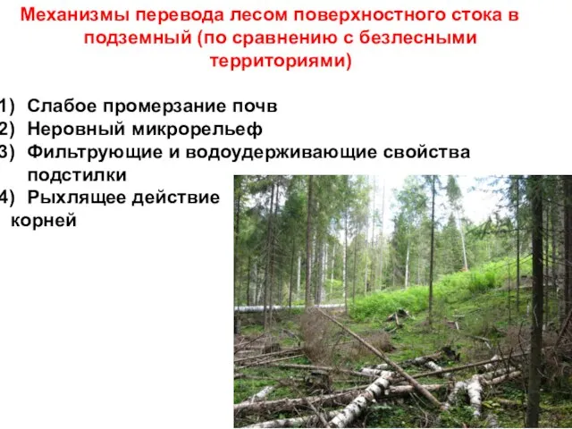 Механизмы перевода лесом поверхностного стока в подземный (по сравнению с безлесными