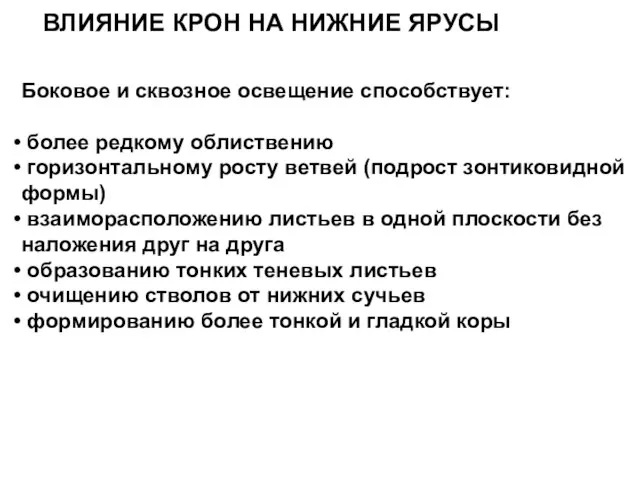 ВЛИЯНИЕ КРОН НА НИЖНИЕ ЯРУСЫ Боковое и сквозное освещение способствует: более