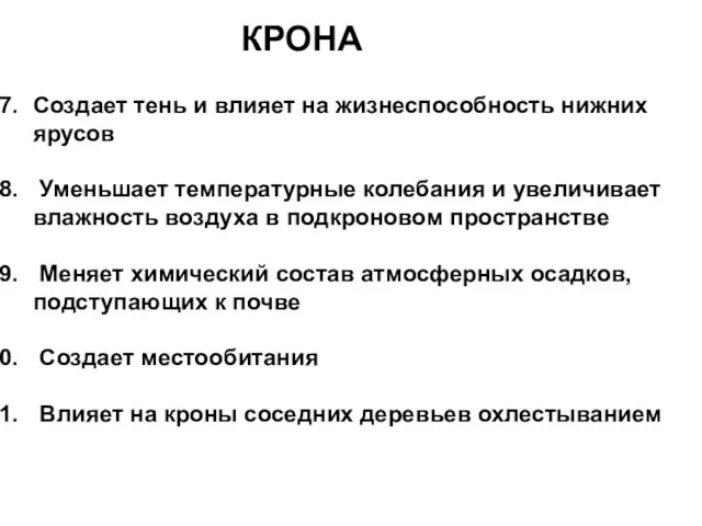 КРОНА Создает тень и влияет на жизнеспособность нижних ярусов Уменьшает температурные